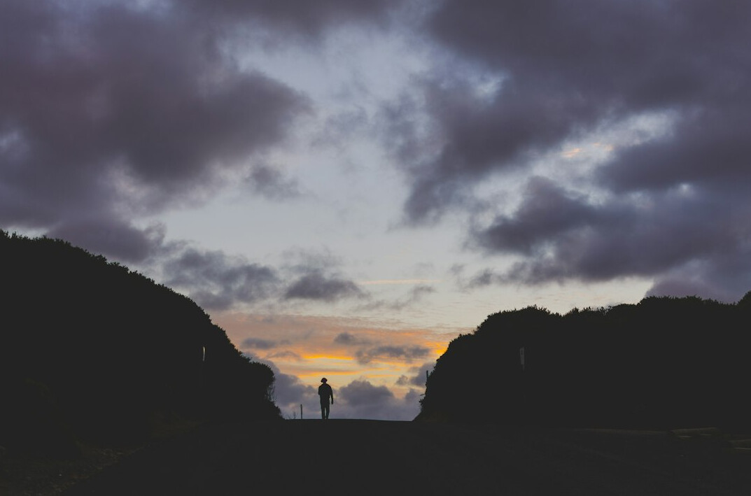 person walking in nature